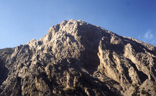 gigilos1.jpg Γκίγκιλος